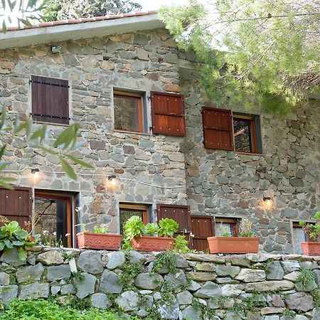 Appartement Due Pini à Corniglia Extérieur photo