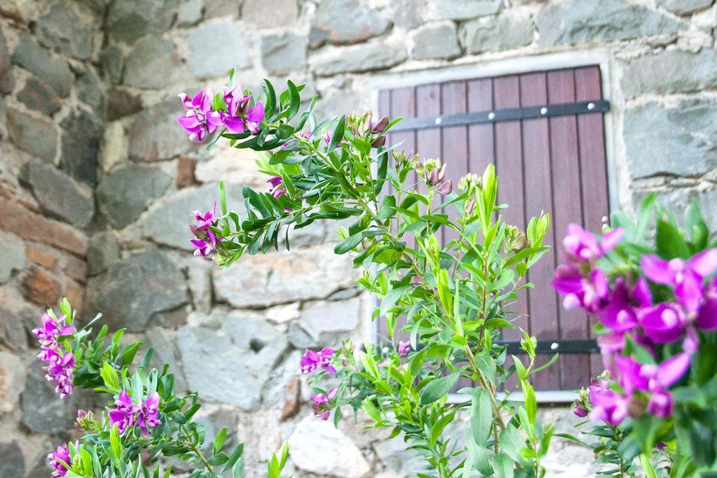 Appartement Due Pini à Corniglia Extérieur photo