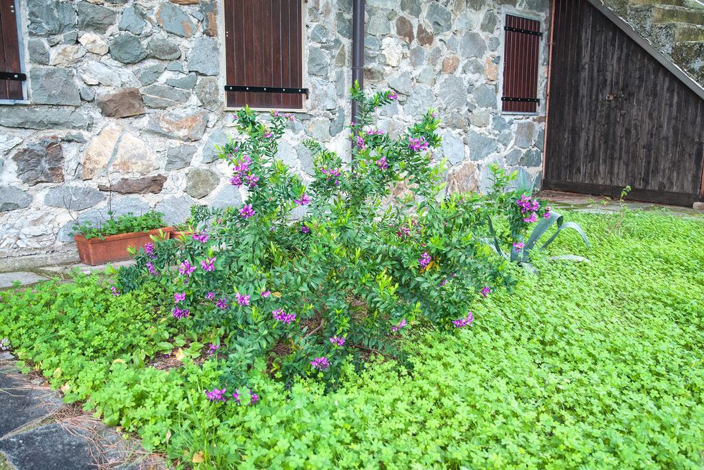 Appartement Due Pini à Corniglia Extérieur photo