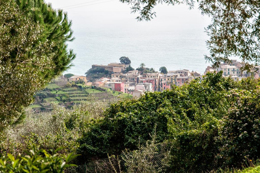 Appartement Due Pini à Corniglia Extérieur photo